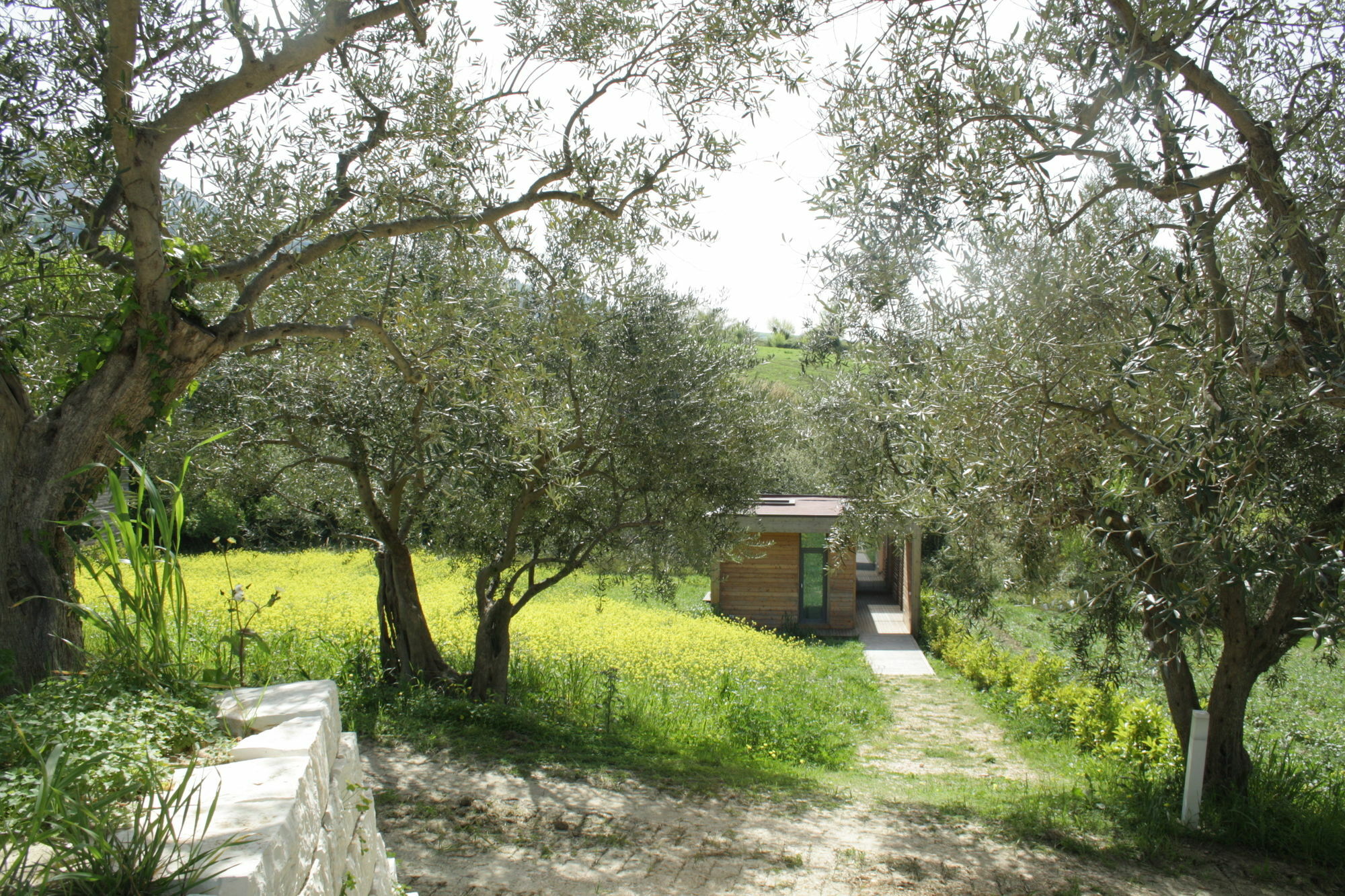 Il Bevaio Di * Corleone